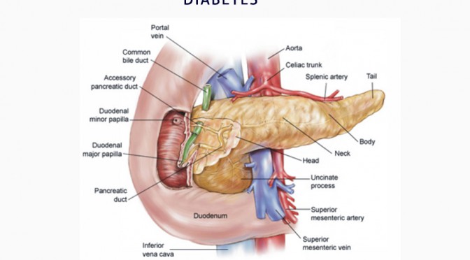 Life Insurance for people with diabetes